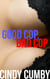 Good Cop, Bad Cop