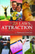 The 28 Laws of Attraction - Stop Chasing Success and Let It Chase You
