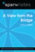 A View from the Bridge (SparkNotes Literature Guide)