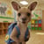 Joey Escapes the Zoo - Evil Joey - Choose Your Own Adventure, #1