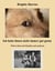 Ich habe ihnen nicht immer gut getan - Mein Leben mit Hunden und anderen