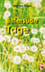 Bittersüße Tage - autobiografische Erzählung