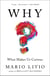 Why? - What Makes Us Curious