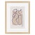 Image encadrée Ceanothe - Féminité - 30 x 40 cm