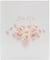 Livre d'or Happy corail