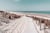 Toile - Chemin de plage - 30 cm x 45 cm