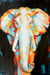 Toile - Eléphant coloré - 65 cm x 97 cm