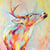 Toile - Cerf coloré - 65 cm x 97 cm