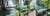 Toile Tropical - 30X97