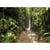Rainforest - Toile 100 x 40 cm 