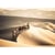 Chameaux & Dunes - Toile 45 x 65 cm 