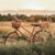Impression numérique en haute définition Vélo dans les blés - 30X30