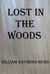 Lost in the Woods - Adventures with Joe, #3