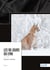 Les 90 jours du lynx