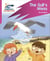 Reading Planet: Rocket Phonics – Target Practice – The Gull's Mess – Pink B