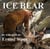 Ice Bear