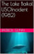 The Lake Baikal USO Incident (1982)