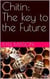 Chitin: The key to the Future
