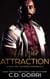 His Wild Attraction - Wild Billionaire Romance, #4