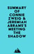 Summary of Connie Zweig & Jeremiah Abrams's Meeting the Shadow