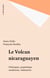Le Volcan nicaraguayen - Polémiques, géopolitique, sandinisme, réalisations