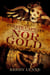 The Pirate Captain, Nor Gold - The Pirate Captain, The Chronicles of a Legend, #2