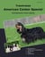 Traumrasse American Cocker Spaniel - Amerikanischer Cocker Spaniel