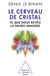 Le Cerveau de cristal - Ce que nous révèle la neuro-imagerie