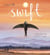 Swift - An Epic Story of a Small Bird's Courage