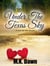 Under the Texas Sky (A How We Met Novella) - How We Met, #1