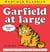 Garfield at Large - His 1st Book