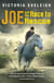 Joe and the Race to Rescue - Book 3