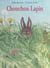 Chouchou lapin