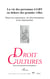La vie des personnes LGBT en dehors des grandes villes - Revue Droit et Cultures n°77