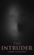 The Intruder - A Novel of Love and Treachery