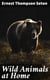 Wild Animals at Home
