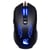 Drakkar Souris Hoenir