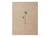 Carnet Flying Spirit 16 x 21 cm - 120 feuilles