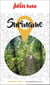 Guide Suriname 2024/2025 Petit Futé