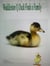 Waddlston Q Duck Finds a Family - Waddleston Q Duck, #1