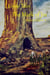Kiyote Tales: The Mark of Jin - Kiyote Tales, #4