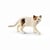 Figurine chat Américain Shorthair