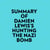 Summary of Damien Lewis's Hunting The Nazi Bomb