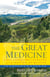 The Great Medicine That Conquers Clinging to the Notion of Reality - Steps in Meditation on the Enlightened Mind