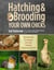 Hatching & Brooding Your Own Chicks - Chickens, Turkeys, Ducks, Geese, Guinea Fowl