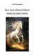 Sur son cheval blanc dans la nuit noire