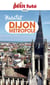 Guide Habitat Dijon 2025 Petit Futé