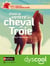 Dans le ventre du cheval de Troie - accessible DYS - Dyscool