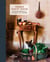 French Country Cooking - Meals and Moments from a Village in the Vineyards: A Cookbook