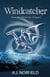 Windcatcher - Stone War Chronicles, #1